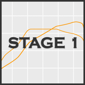 Stage 1 Tuning