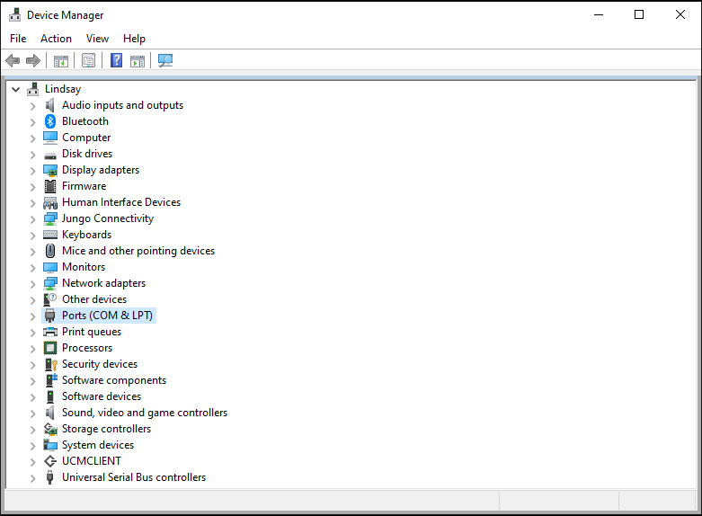 Screenshot of Device Manager Window